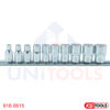 Bộ khẩu 12 point 1/4 inch 10 chiếc KS Tools 918.0615