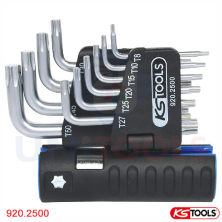 Bộ lục giác 6 đỉnh 10 cây Germany Ks Tools 920.2500