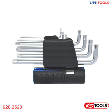Bộ lục giác hoa thị dài 10 cây KS Tools 920.2520-1