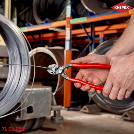 71 01 250 Knipex : Kìm Cắt Cộng Lực CoBolt