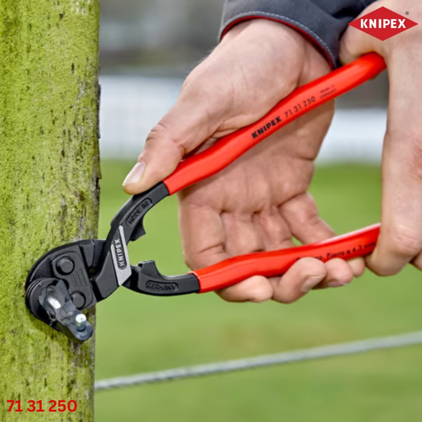 ứng dụng 71 31 250 Knipex Kìm Cắt Cộng Lực CoBolt