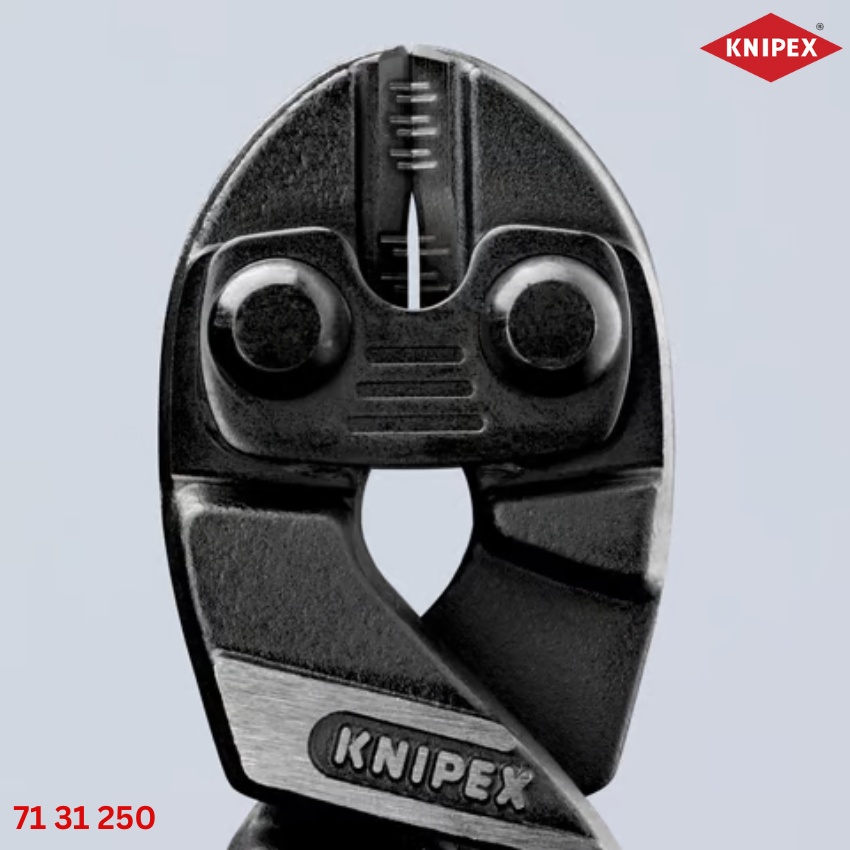 71 31 250 Knipex : Kìm Cắt Cộng Lực CoBolt