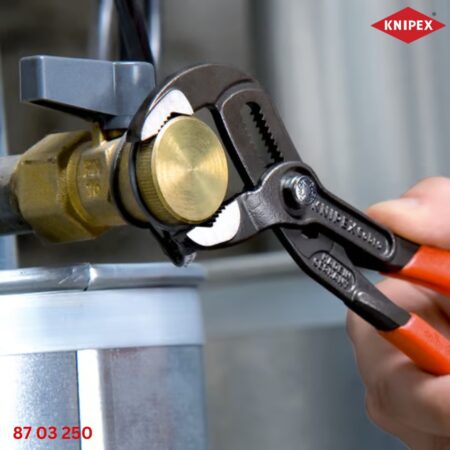 87 03 250 Knipex: Kìm nước mỏ quạ Cobra